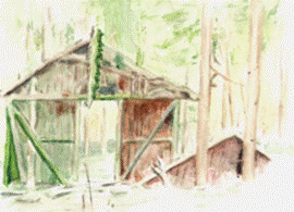 Titel: Akvarell: Ruckel i skogen - Beskrivning: Akvarell: Ruckel i skogen